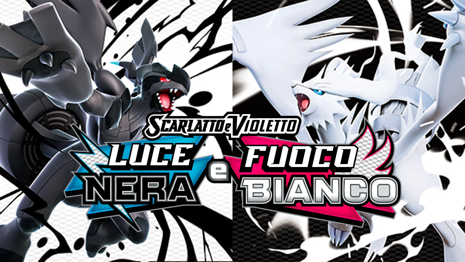 pokemon-gcc-bianco-nero